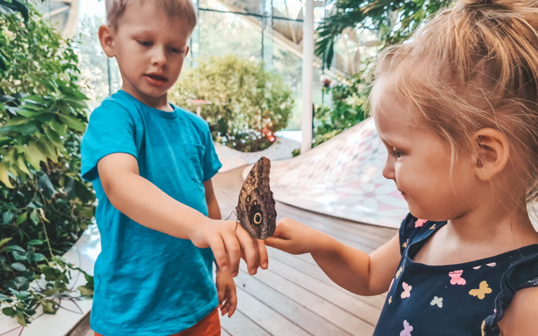 Co&nbsp;zamiast kar i&nbsp;nagród?