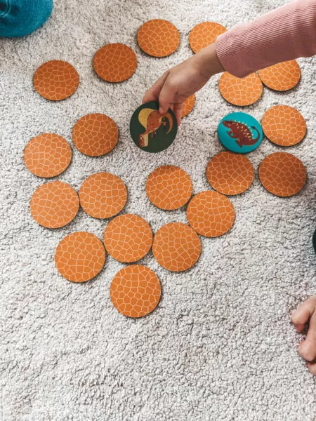 Książki o&nbsp;ptakach dla dzieci – sprawdź nasze propozycje!