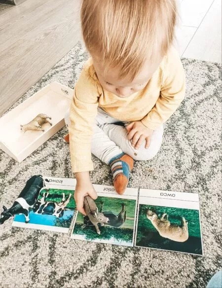 Książki dla dzieci, które uczą szacunku do&nbsp;przyrody.