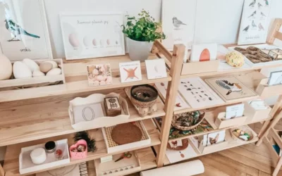 Montessoriańskie materiały o&nbsp;ptakach – sprawdź nasz Niezbędnik!