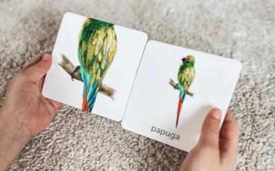 Karty Montessori wydawnictwa Kapitan Nauka