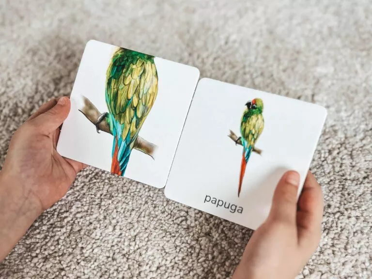 Karty Montessori wydawnictwa Kapitan Nauka